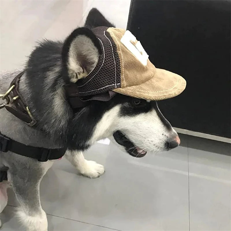 Gorra Deportiva para Perros
