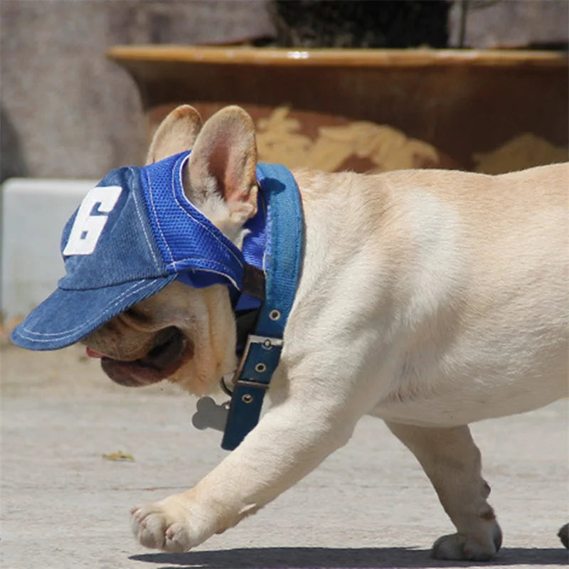 Gorra Deportiva para Perros