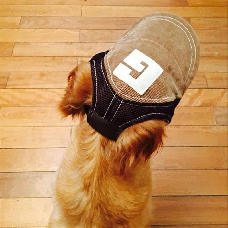 Gorra Deportiva para Perros