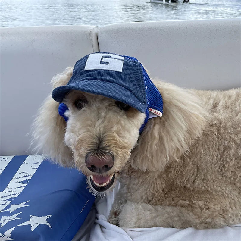 Gorra Deportiva para Perros