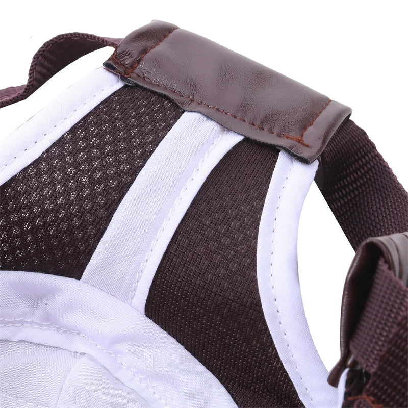 Gorra Deportiva para Perros