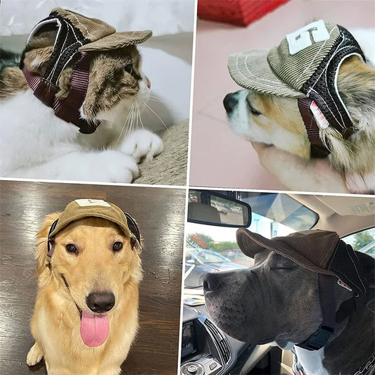 Gorra Deportiva para Perros